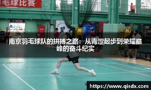 南京羽毛球队的拼搏之路：从青涩起步到荣耀巅峰的奋斗纪实